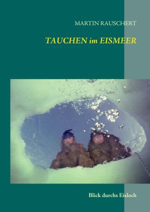 Cover of the book TAUCHEN im EISMEER by Friedrich Wilhelm Hackländer