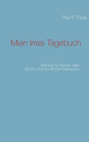 Cover of the book Mein irres Tagebuch by Anne-Katrin Straesser