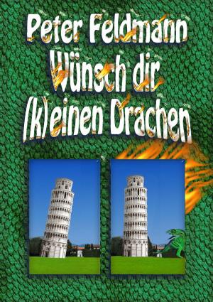 Cover of the book Wünsch dir (k)einen Drachen by Klaus Huber