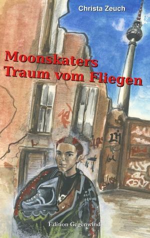 Book cover of Moonskaters Traum vom Fliegen