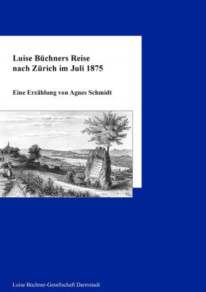 Cover of the book Luise Büchners Reise nach Zürich im Juli 1875 by Stefan Wahle, Tanja Wahle