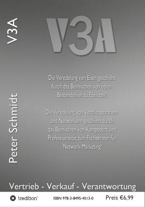 Cover of the book V3A by Kirsten Schwörer