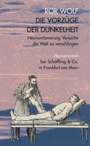 Cover of the book Die Vorzüge der Dunkelheit by Silvia Tennenbaum
