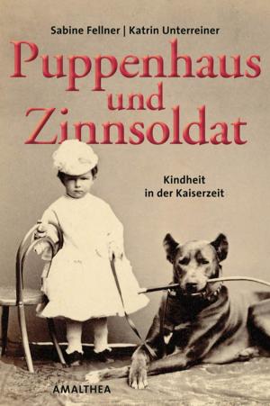 Cover of the book Puppenhaus und Zinnsoldat by Sigrid-Maria Größing
