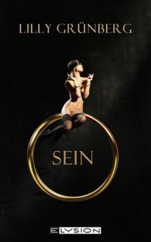 Cover of the book Sein by Angelika Monkberg