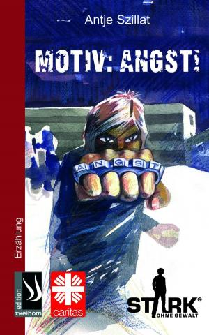 Cover of the book Motiv Angst by Stefan Schwinn