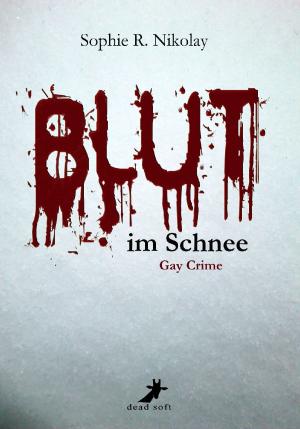 Cover of the book Blut im Schnee: Gay Crime by Elisa Schwarz, Lena M. Brand