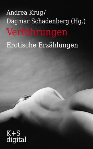Cover of the book Verführungen by Blair Buford
