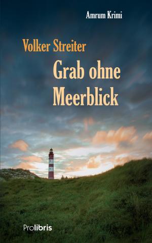 Book cover of Grab ohne Meerblick