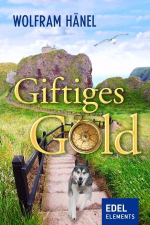 Cover of the book Giftiges Gold by Birgit Schlieper