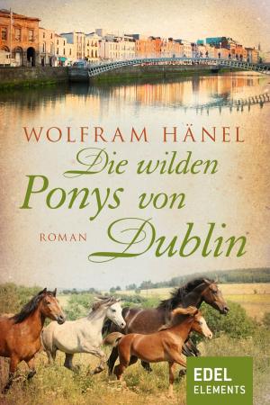 Cover of the book Die wilden Ponys von Dublin by Rebecca Maly