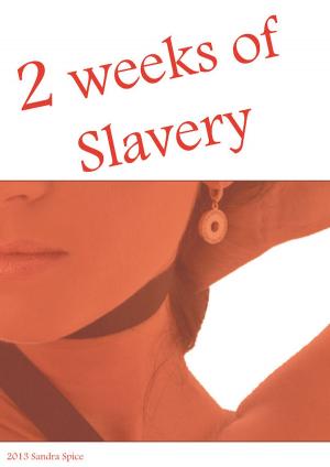 Cover of the book 2 weeks of slavery by Constance Delaware