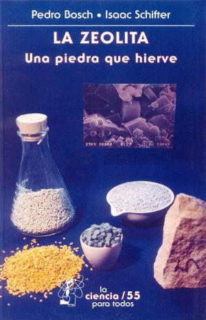 Cover of the book La zeolita by Ruy Pérez Tamayo
