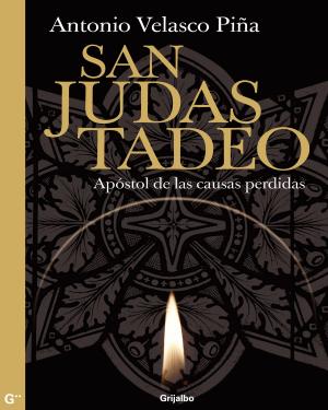 Cover of the book San Judas Tadeo by Javier Sicilia