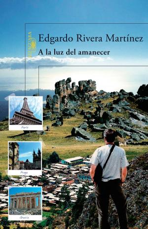 Cover of the book A la luz del amanecer by Miguel Gutiérrez