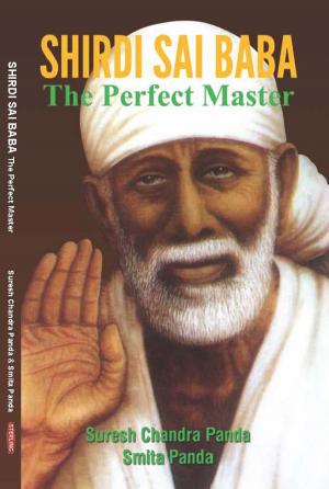 Cover of the book SHIRDI SAI BABA by Dr S. Paul