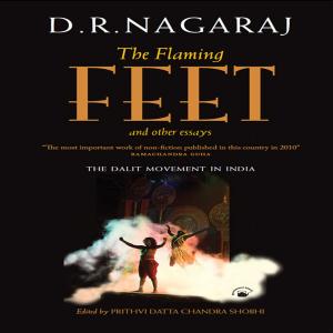 Cover of the book The Flaming Feet and Other Essays by Chitra Joshi