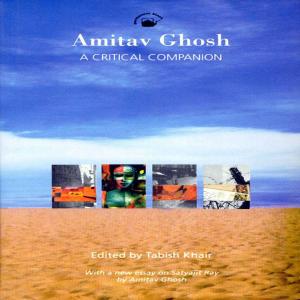 Cover of the book Amitav Ghosh: A Critical Companion by Heinrich von Stietencron