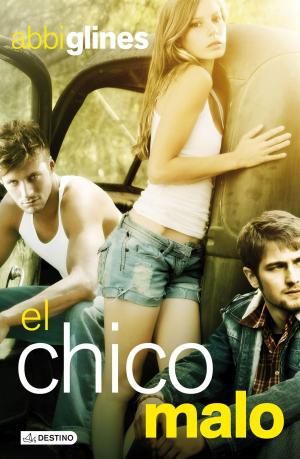 Cover of the book El chico malo by Elisabeth G. Iborra