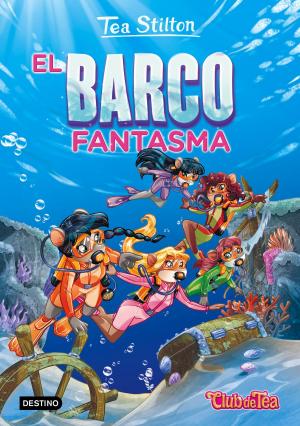 Cover of the book El barco fantasma by Belén Barreiro