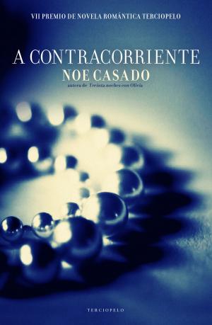 Cover of the book A contracorriente by Lilly Wilde