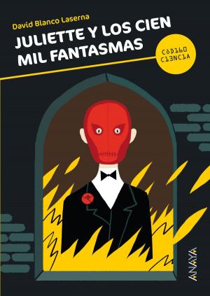 Cover of the book Juliette y los cien mil fantasmas by Ana Alonso