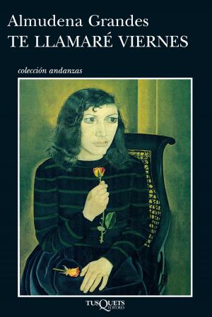 Cover of the book Te llamaré Viernes by Violeta Denou