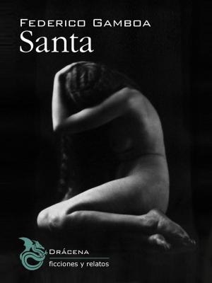 Book cover of Santa