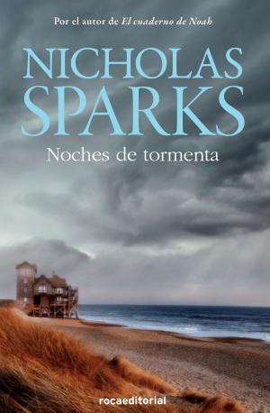 Cover of the book Noches de tormenta by Julián Sánchez