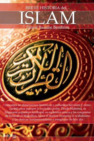 Cover of Breve historia del islam