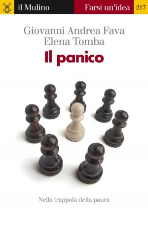 Cover of the book Il panico by Steffy Tinsa