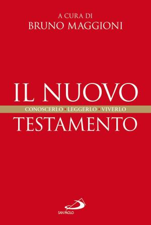 Book cover of Il Nuovo Testamento. Conoscerlo, leggerlo, viverlo