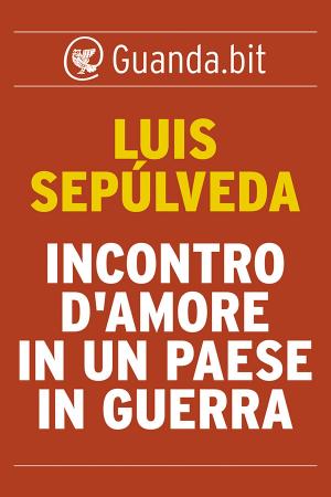 bigCover of the book Incontro d'amore in un paese in guerra by 