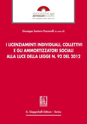 Book cover of I licenziamenti individuali, collettivi e gli ammortizzatori sociali alla luce della legge n. 92 del 2012