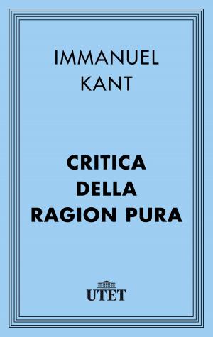 Book cover of Critica della ragion pura