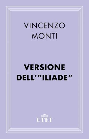 Cover of the book Versione dell'Iliade by Ludovico Ariosto