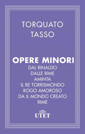 Book cover of Opere minori
