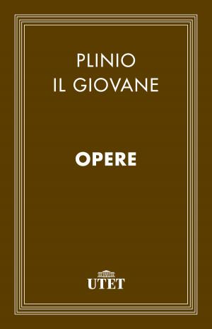 Cover of the book Opere by Agostino