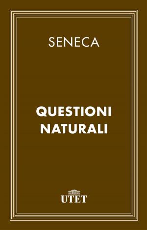 Cover of the book Questioni naturali by Michelangelo Buonarroti