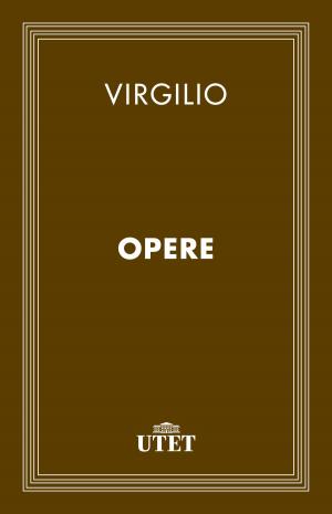 Cover of the book Opere by Niccolò Cusano