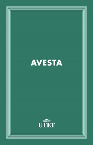 Cover of the book Avesta by Apuleio