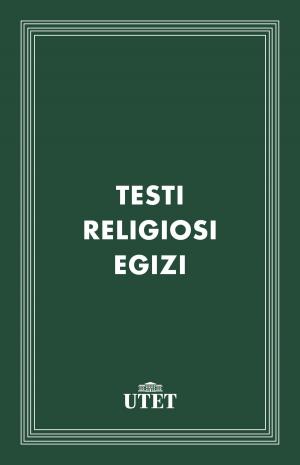 Cover of the book Testi religiosi egizi by Andrea Carandini, Emanuele Papi