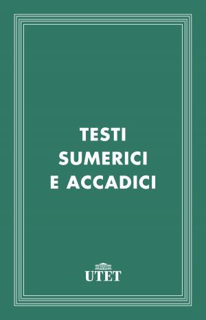 Cover of the book Testi sumerici e accadici by Vittorino Mario
