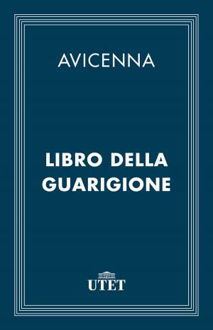 Cover of the book Libro della guarigione by Benvenuto Cellini
