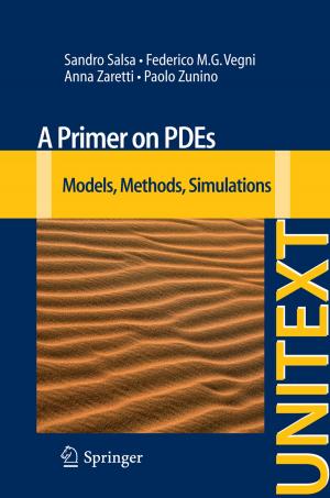 Cover of the book A Primer on PDEs by Maurizio De Luca, Giampaolo Formisano, Antonella Santonicola