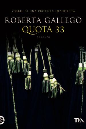 Cover of the book Quota 33 by Patrizia Debicke van der Noot