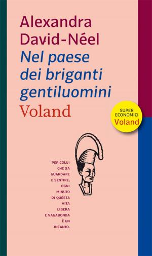 Cover of the book Nel paese dei briganti gentiluomini by Amélie Nothomb
