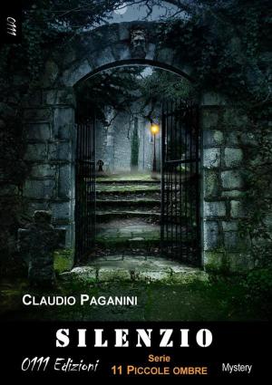 Cover of the book Silenzio by Stefano Vignati