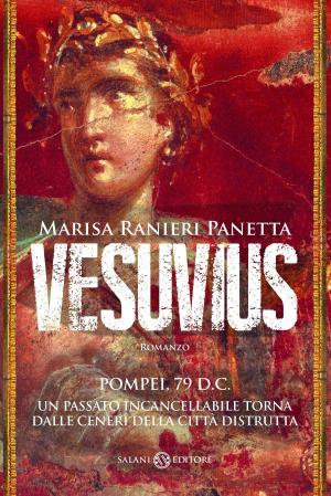 Cover of the book Vesuvius by Valérie Tong Cuong