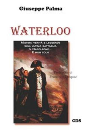 Cover of the book Waterloo by Luca Romanello